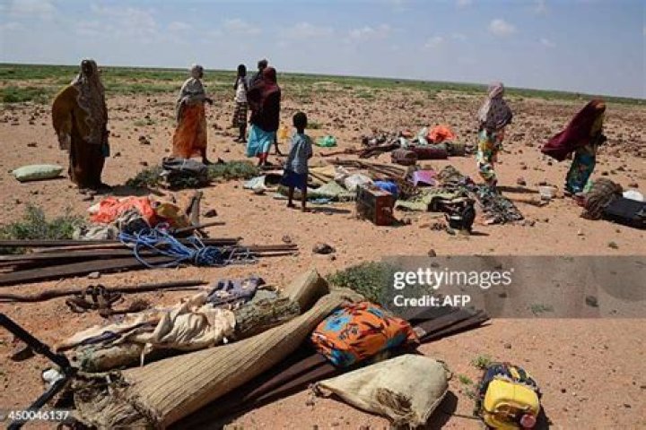 Unpacking Qarxis: A Fresh Look at Secure Information in the Digital Age