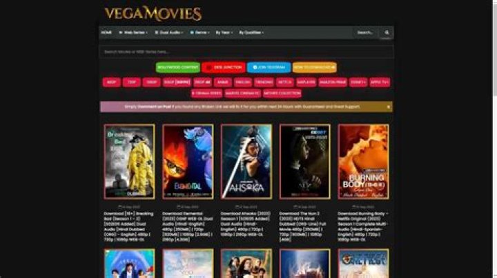 Exploring Vegamovies.org.in: What You Should Know About Streaming Movies