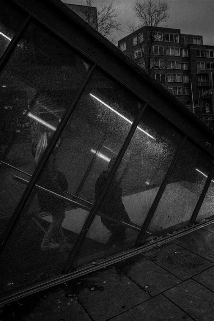 Unpacking the Search for xxbrits sophie rain download filmyzilla: What You Need to Know Today